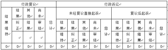 22年政务公开年报-3